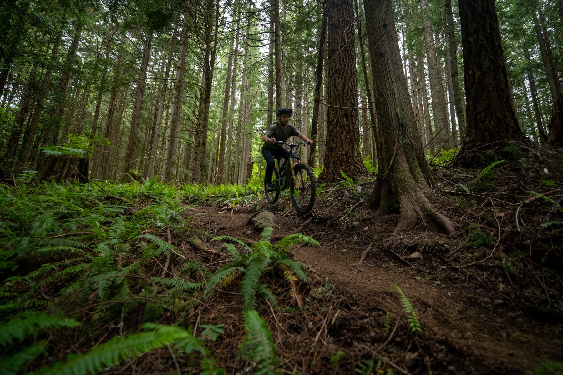 man riding bike with TRP Evo 12 Drivetrain