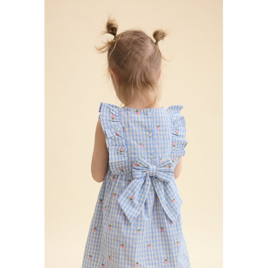 Flöss Mille SL Dress - Sky Berry Gingham