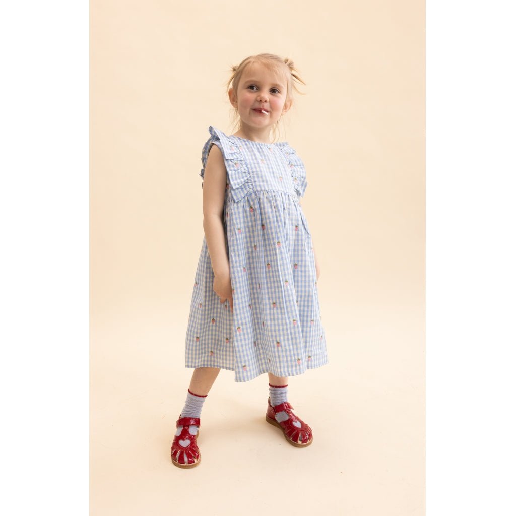 Flöss Mille SL Dress - Sky Berry Gingham