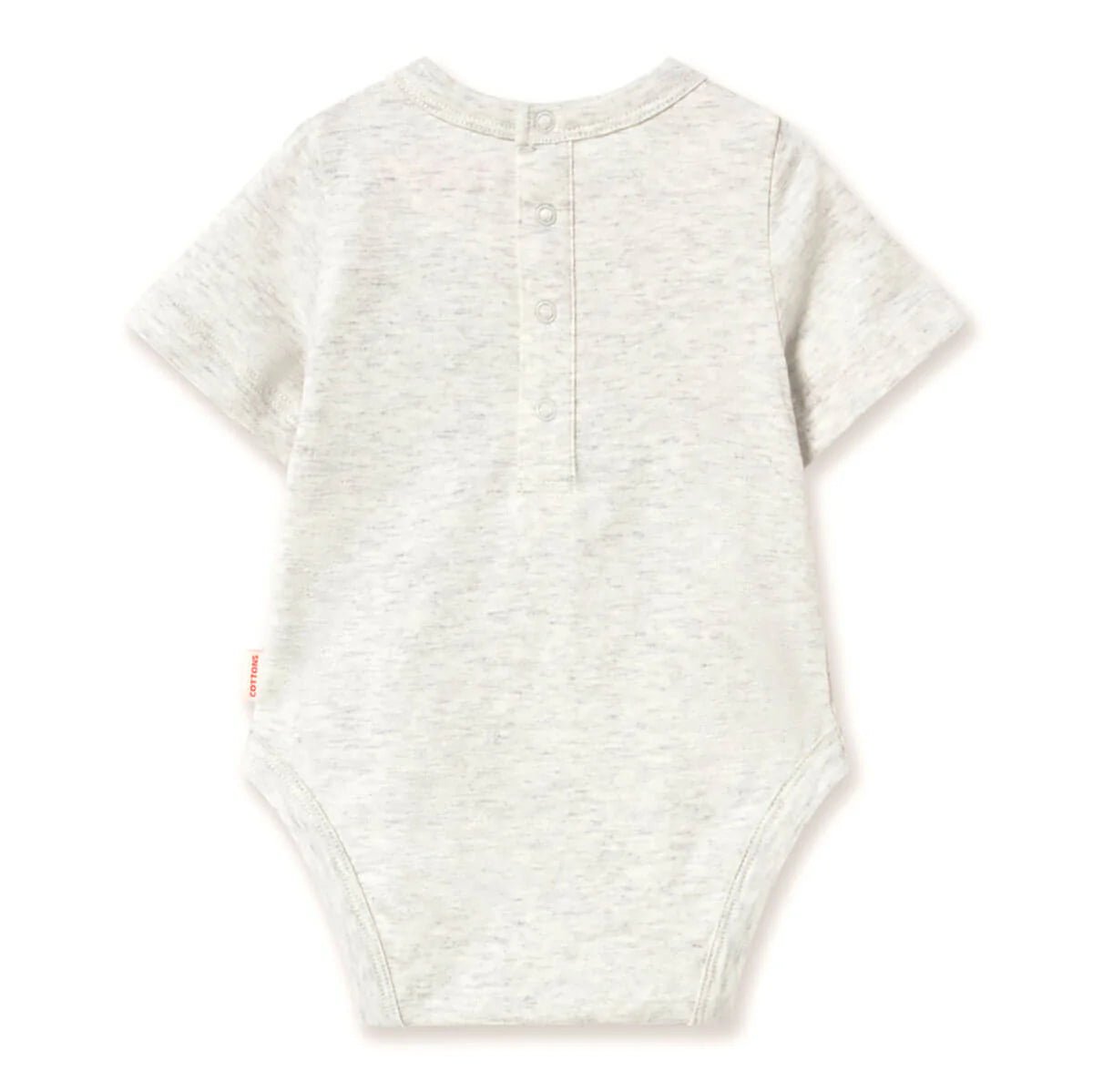 Tinycottons Frog & Frog Graphic Body Tinycottons