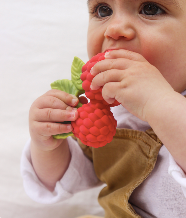 Oli &amp; Carol - Valery the Raspberry