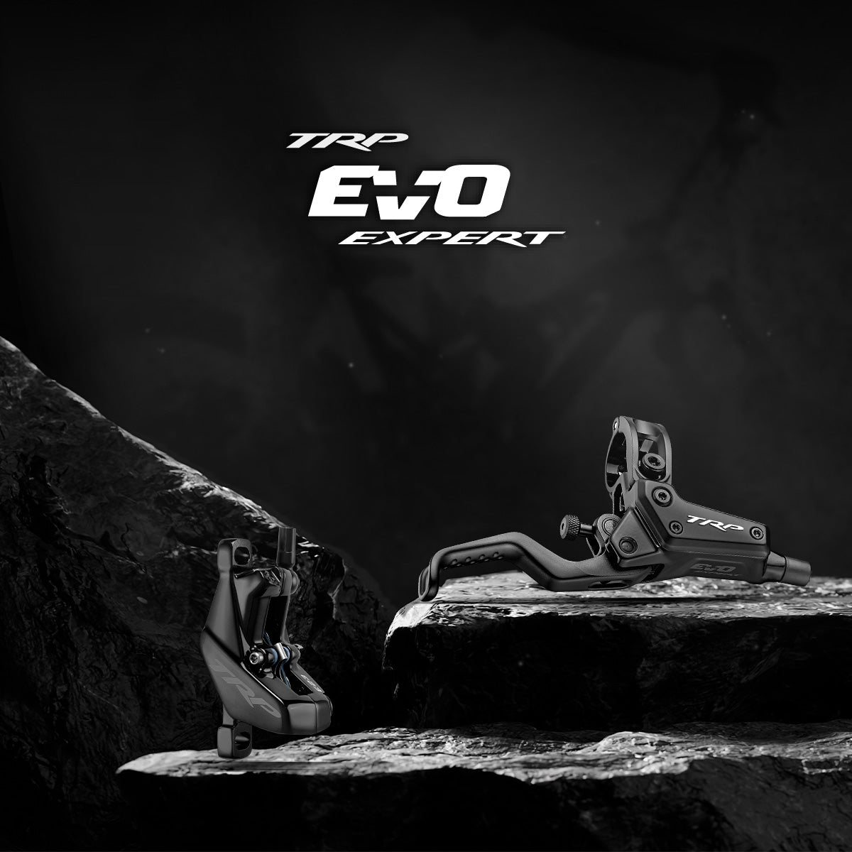 EVO Expert