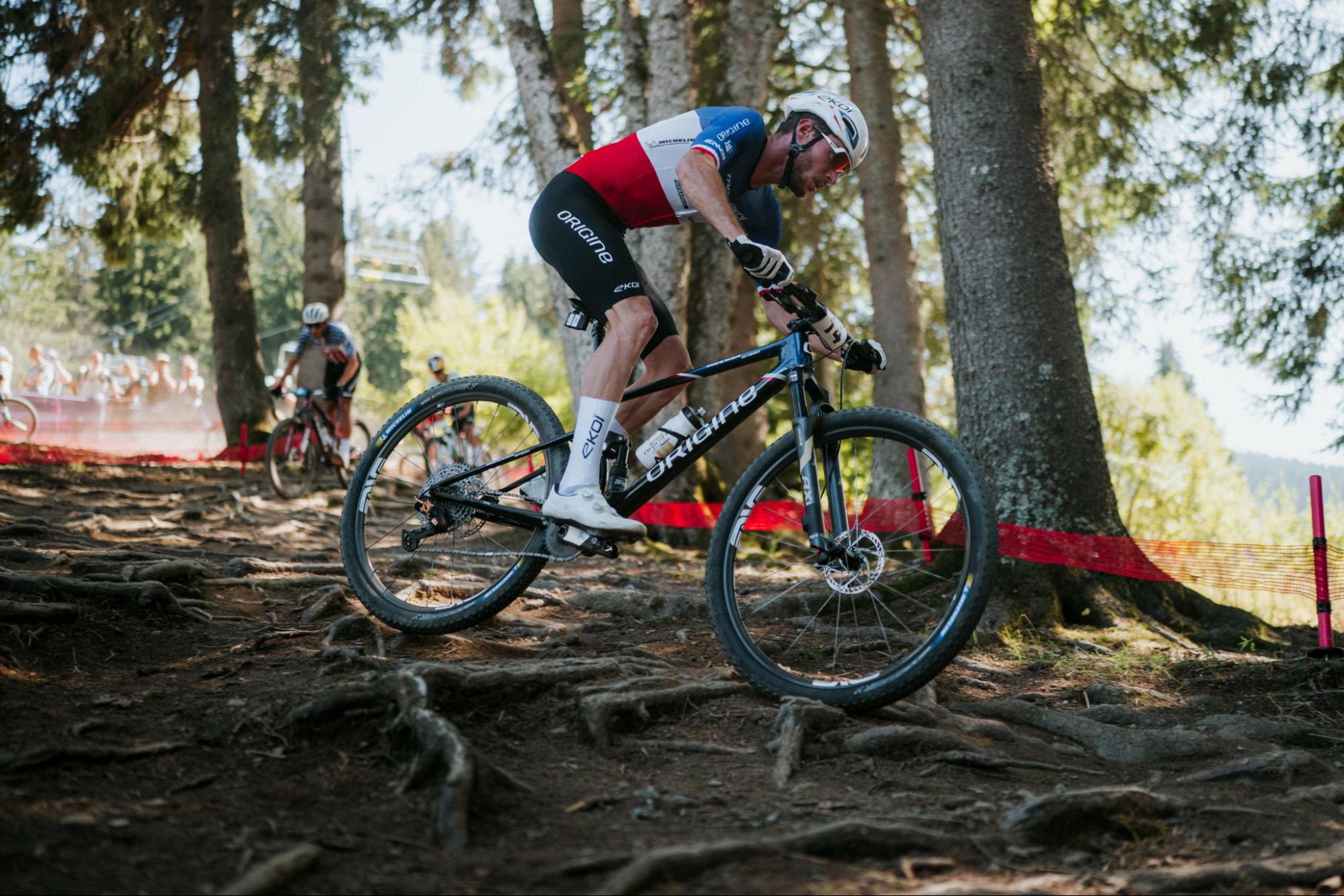 A mountain biker wearing a red, white, and blue jersey and black shorts navigates a root-heavy dirt trail on a black bike with white grips and a white helmet in a forest setting.
