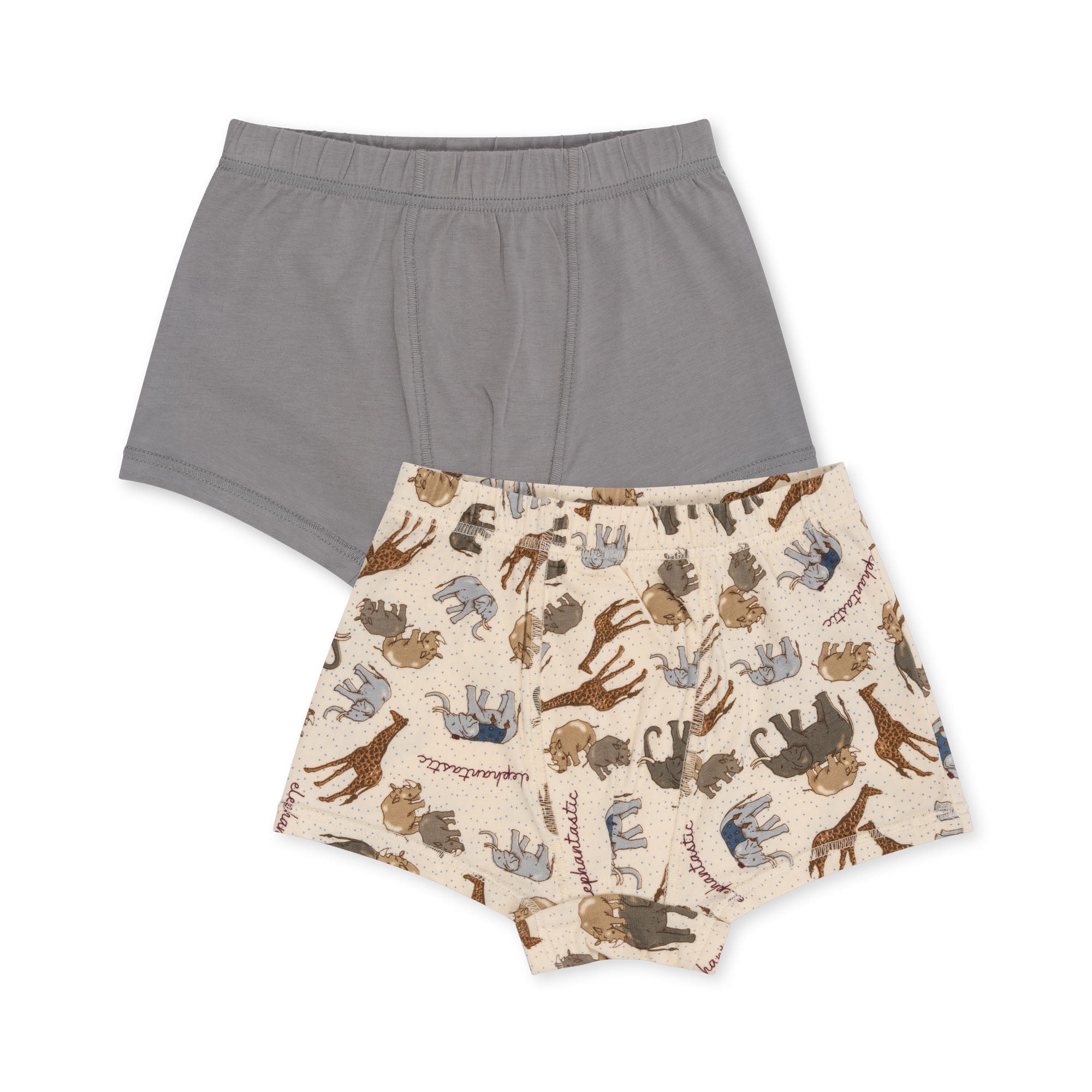 Konges Sløjd BASIC 2 PACK BOY BOXERS GOTS - elefantastic/sleet Konges Sløjd