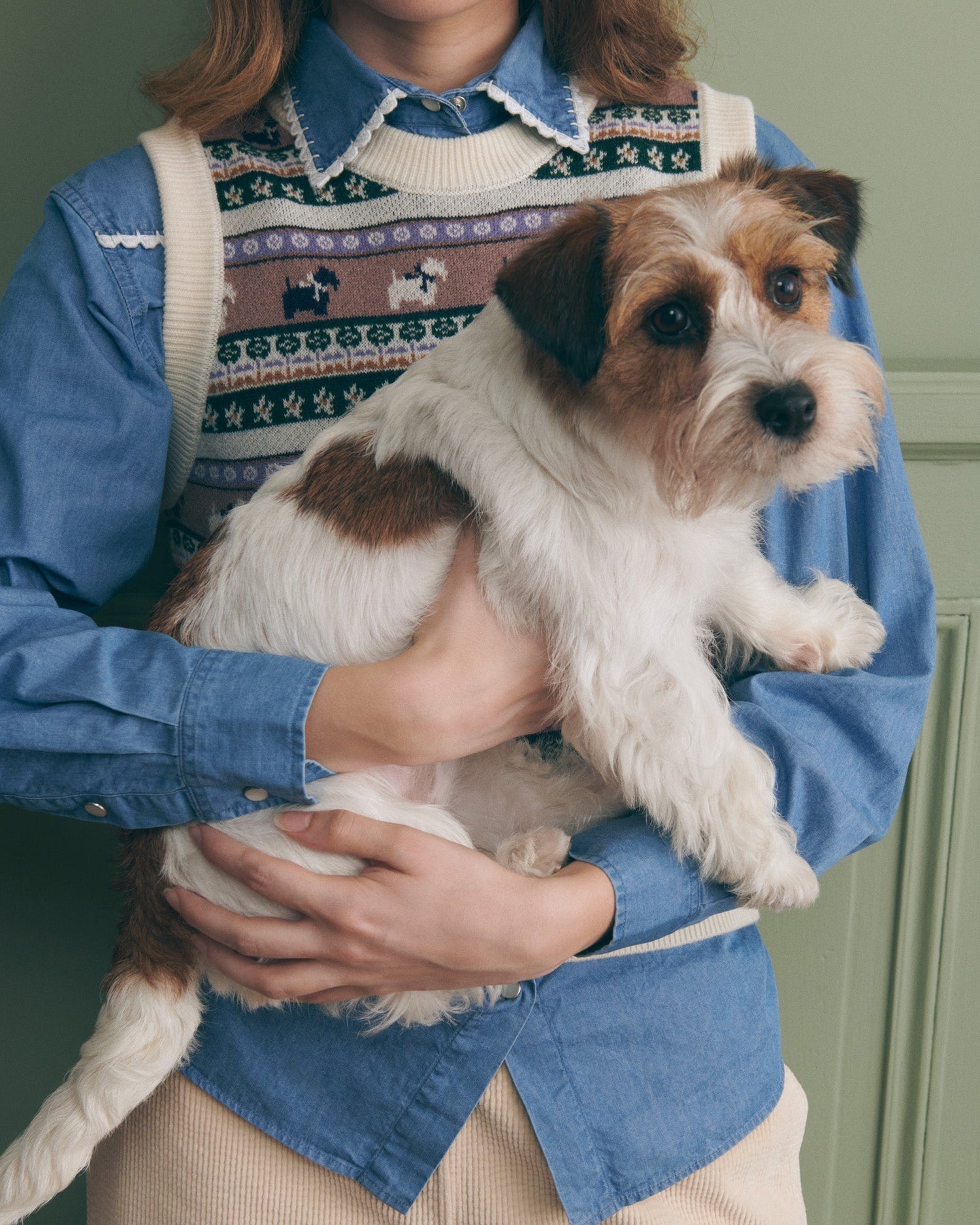 Maison Labiche "Jacquard Chiens" lafay merino wool sweater MULTICO JACQUARD Maison Labiche