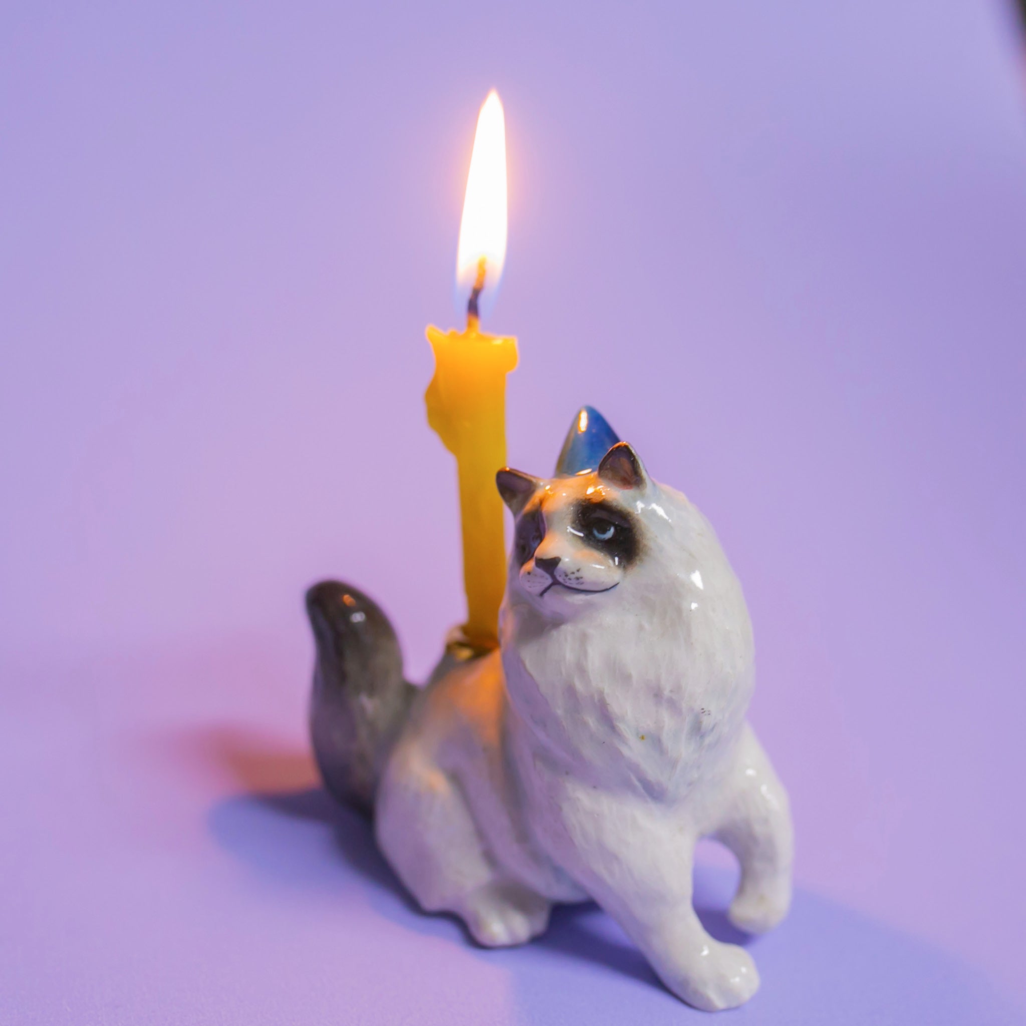 Camp Hollow Ragdoll Cat Birthday Candle Holder | Porcelain Cake Topper