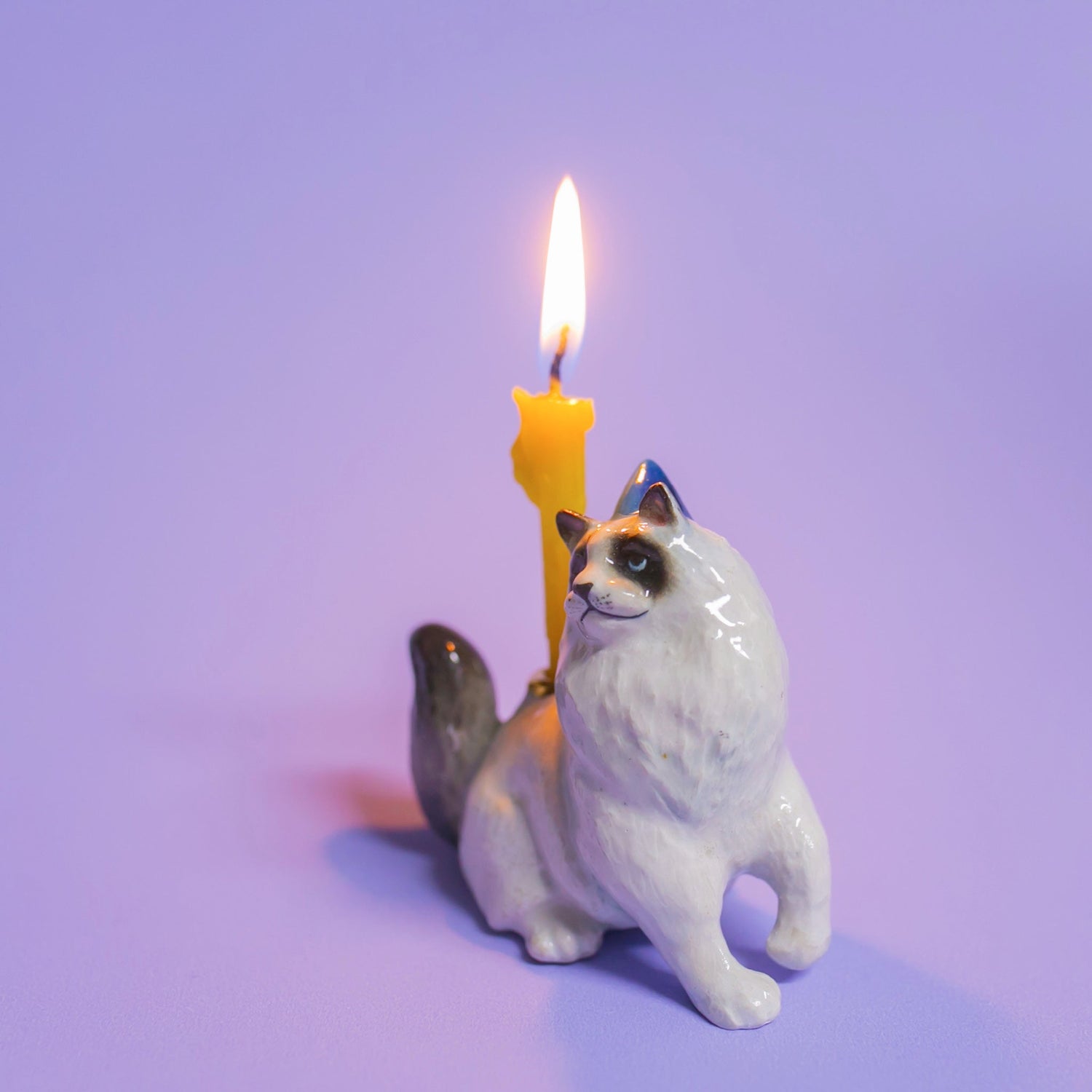 Camp Hollow Ragdoll Cat Birthday Candle Holder | Porcelain Cake Topper