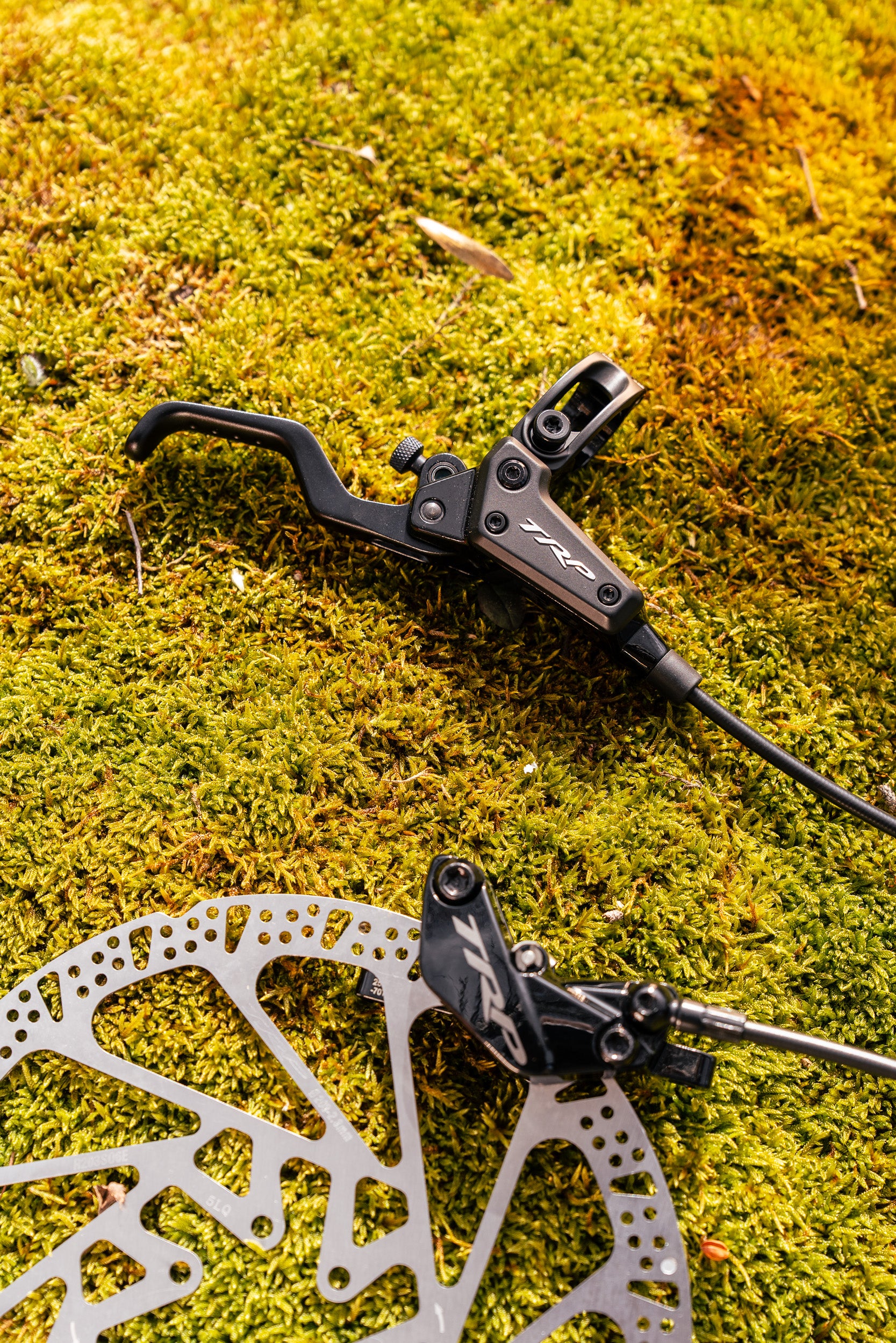 TRP EVO Bicycle brake lever and caliper on a mossy ground
